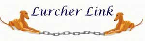 Lurcher Link Forum